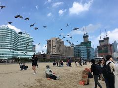 -海云台海滩