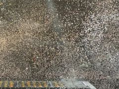 -梦之蓝青奥体育公园体育馆