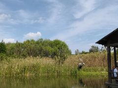 -溱湖国家湿地公园