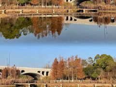 -橘子洲景区
