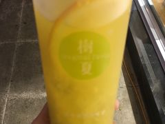 树夏很芒-树夏(建设路店)