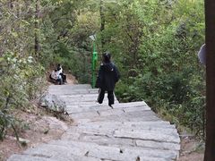 -狐尾山公园