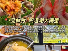 -品鲜村农家菜·阳澄湖大闸蟹(总店)