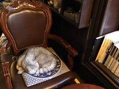-不舍昼夜咖啡馆