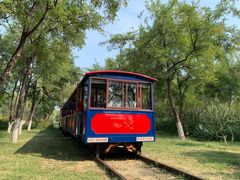 -永定河休闲森林公园