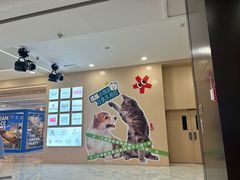 -凯德MALL(望京店)
