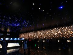 -侵华日军南京大屠杀遇难同胞纪念馆