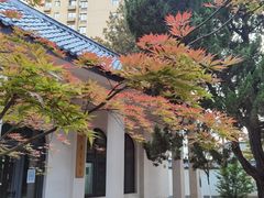 -西安市纺织公园