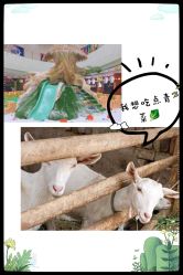 点击看大图 -可可天空农场(中大店)
