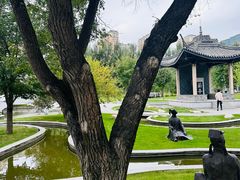 -东北农业大学