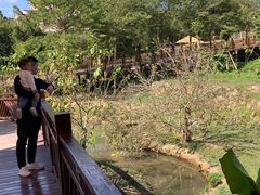 -泉州海丝野生动物世界