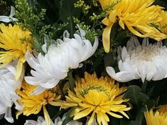 -沪花拾者(好再来花卉鲜花店)