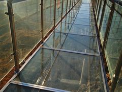 -帽儿山风景区