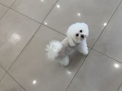 -艾贝尔宠物医院 ·中兽医·宠保定点(北门桥店)
