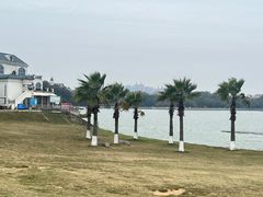 -仙湖旅游度假区