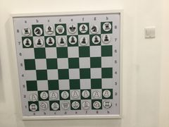 -常青藤国际象棋(新奥店)