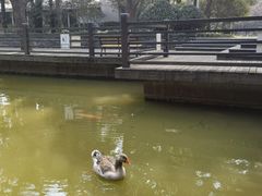 -上海美兆健康医疗体检中心(古北店)