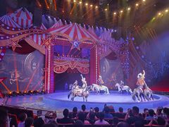 -珠海横琴长隆《卡卡虎奇遇记》