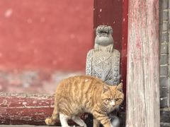 -玉泉观
