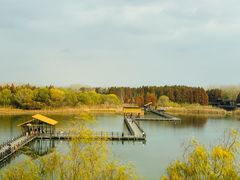 -溱湖国家湿地公园