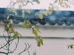 -西园戒幢律寺