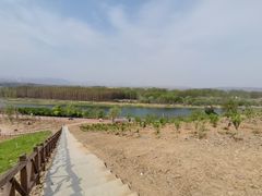 -淇河国家湿地公园