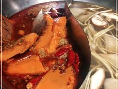 -大龙燚火锅(春熙店)