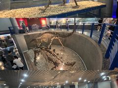 -国家自然博物馆