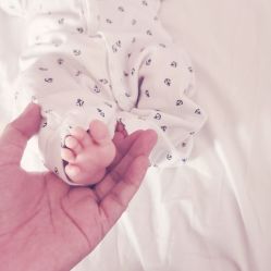 -海豚湾高端月子会所(黄浦店)