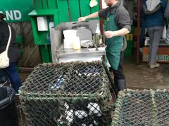 -Oban Seafood Hut..(Green Shack)