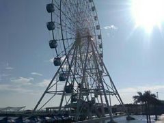 -秦皇岛乐岛海洋王国