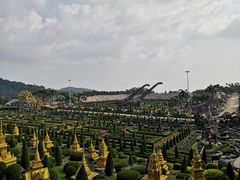 -东芭乐园
