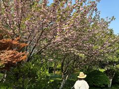 -杭州城北体育公园