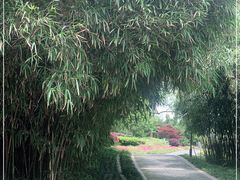 -菊花台公园