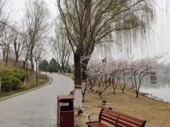 -河北省园博园
