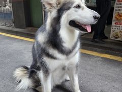 -新一味普宁肠粉王(梅林店)