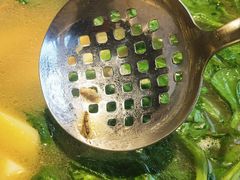 -七采菌园·石锅鱼野生菌火锅(环城北路店)