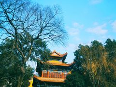 -宝通禅寺
