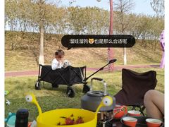-鹤之洲湿地公园