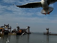 -三国水浒景区(无锡影视基地)