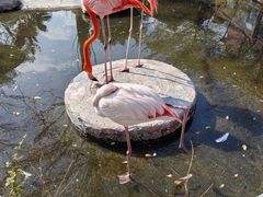 -灵玲国际马戏城