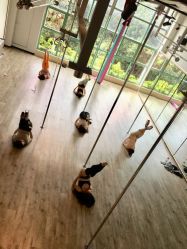 -桃秘钢管舞 Peach Pole Fitness