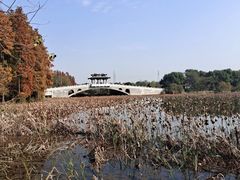 -东湖落雁景区