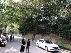 -长洲岛
