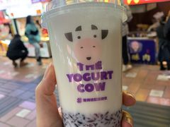 -一只酸奶牛(八一路店)