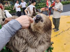 -杭州野生动物世界