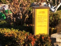 -大连金石滩绿发温泉假日酒店