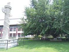 -北大学一食堂