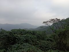 -北仑森林植物园