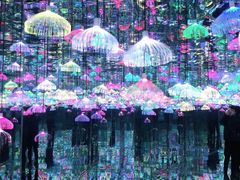 -上海梵高星空艺术馆(南京路旗舰店)